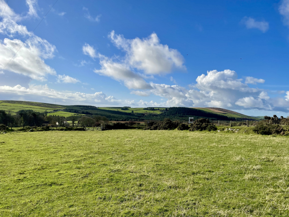 Mist Meadow lies in the foothills of the Preseli Mountains
