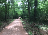 Crendell Wood