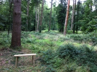 Crowflower Wood - SOLD