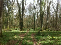 Greenhill Wood - SOLD