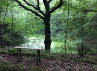 Millward Wood