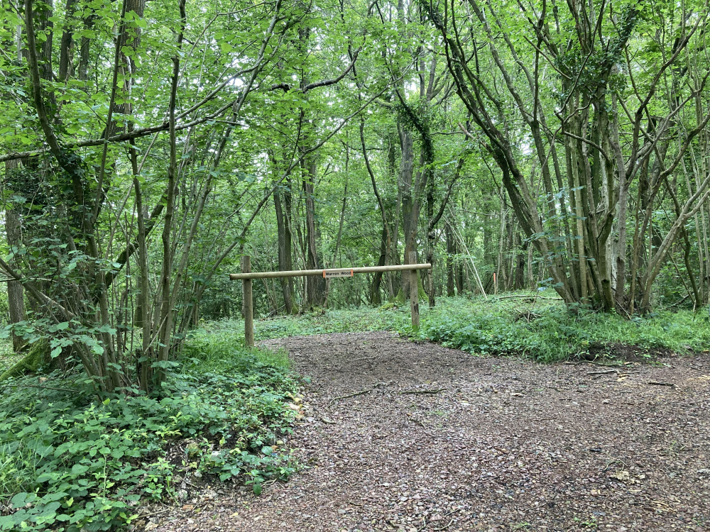 The entrance to Warren Wood