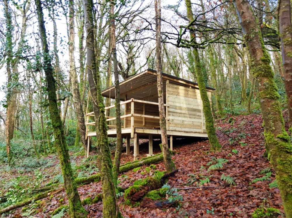 Forestry shelter or wildlife hide