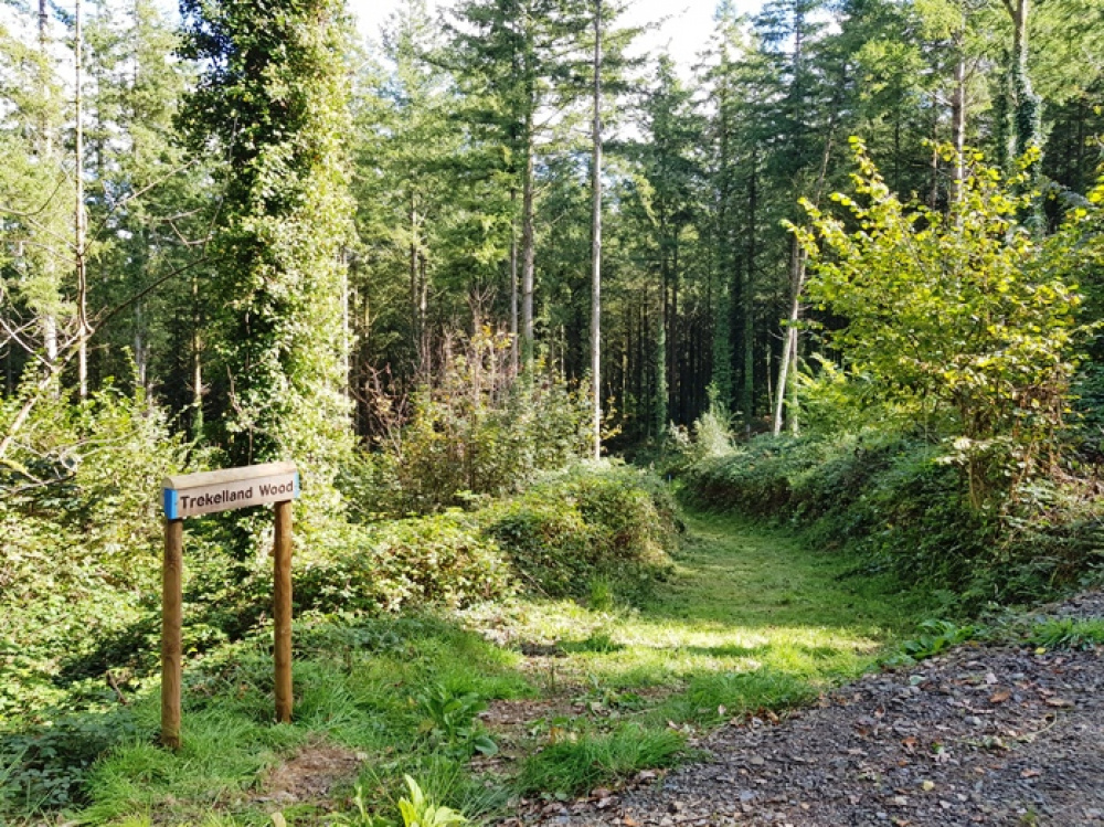Entrance to the north of the woodland along a grassy track