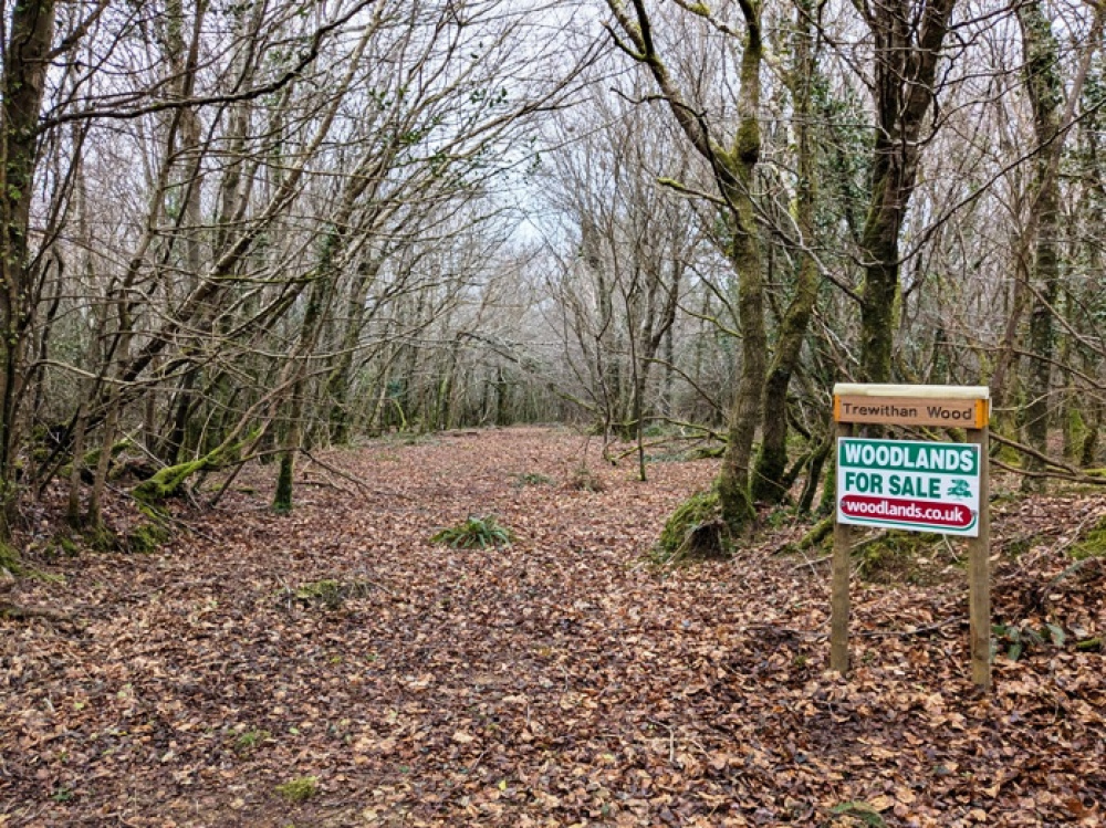 Woodland entrance with private parking