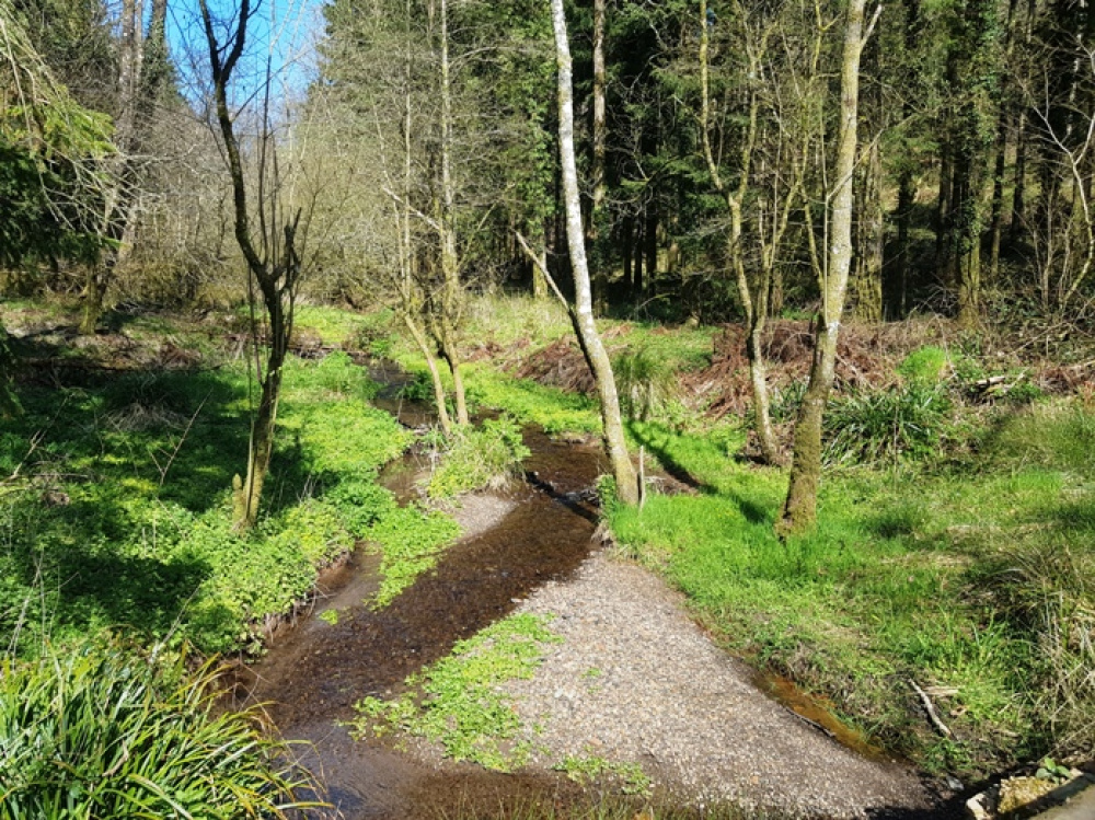 Very south of the stream with the woodland on the right