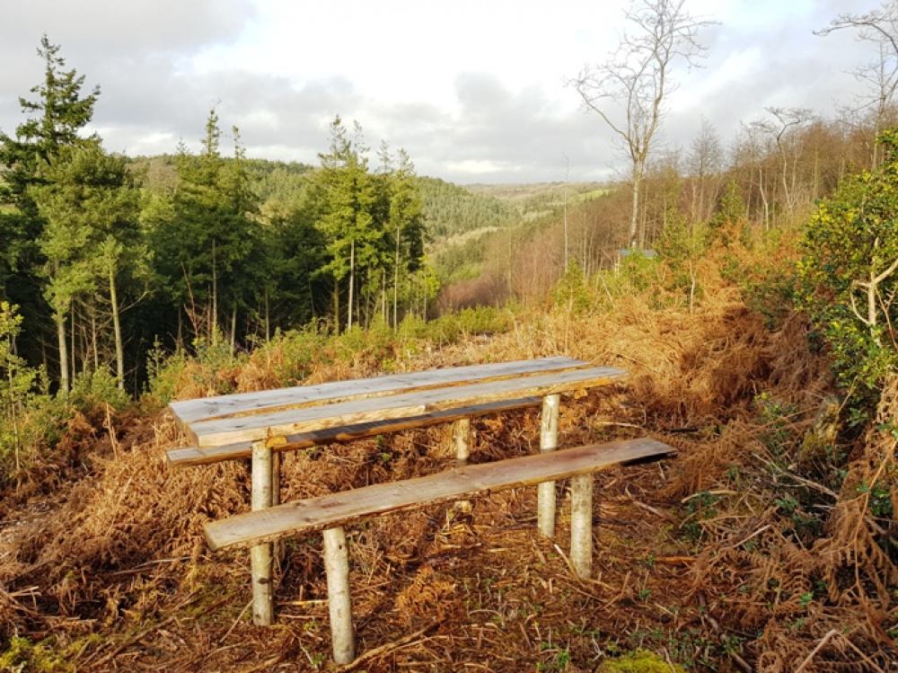 Private bench with stunning views