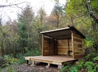 Riddle Wood