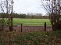 Athelstan Meadow
