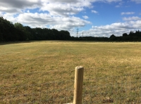 Swein Meadow