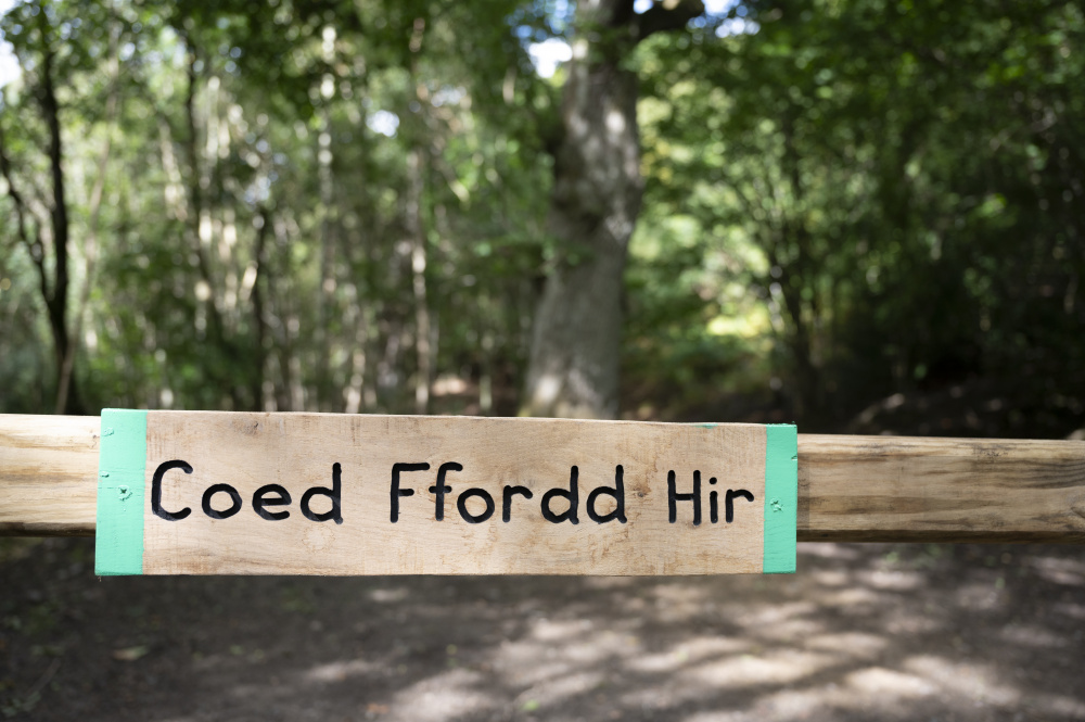 Croeso - welcome to Coed Ffordd Hir