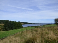 Holl Wood
