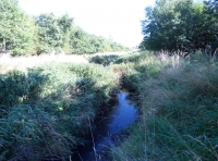 Linn Burn Wood
