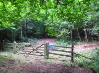 Kitcombe Copse - SOLD