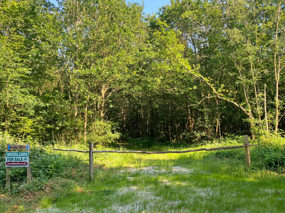 The ride stop entrance to Reamy Wood