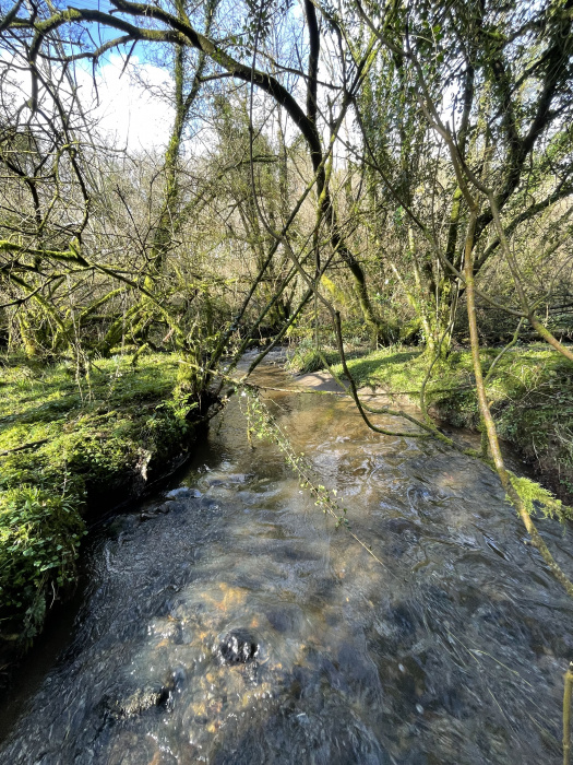 A fast flowing river runs through Coed Glyncoch