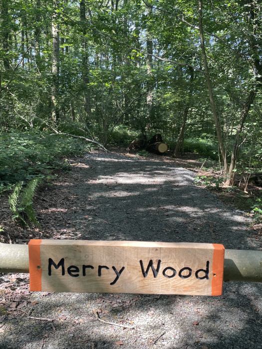 Parking area for Merry wood