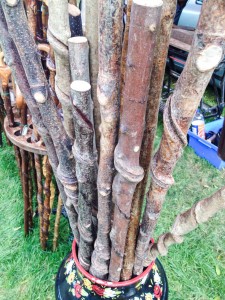 Making walking sticks - from stems picked out of the woodlands