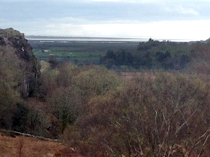 Atlantic Oak Woodlands - our "temperate rainforest"