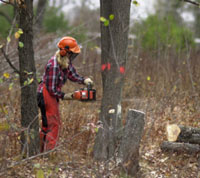 A Video Guide to Tree Felling Part 3 - Dealing with Hung Up Trees